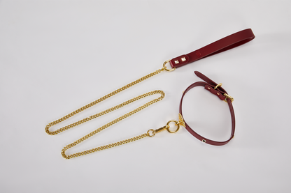 Collar & Leash Set